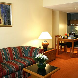 Park Royal Buenos Aires — Living Area