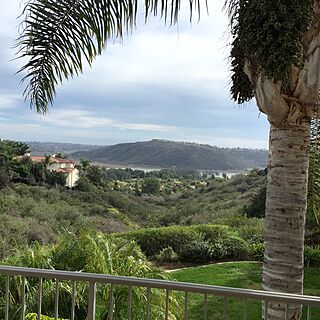 Four Seasons Residence Club Aviara &mdash; Sample Balcony View