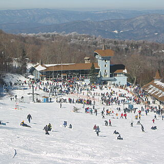 Christie Village — Area Skiing