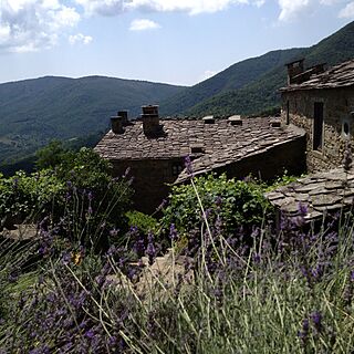 Borgo di Vagli