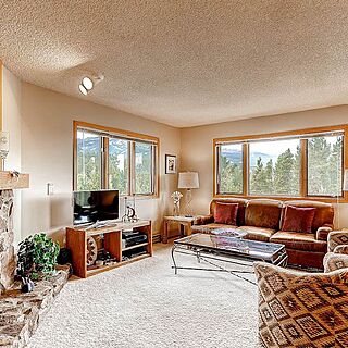 Woods Manor Condominiums — Living Area
