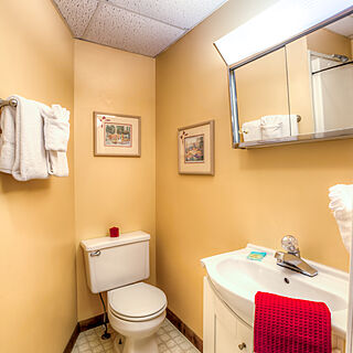 Club Chalet of Gatlinburg — - 19A Bathroom