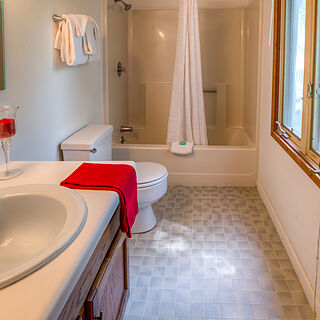 Club Chalet of Gatlinburg — - 19F Bathroom