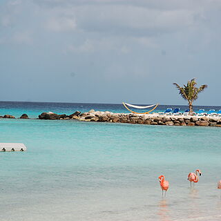 Renaissance Wind Creek Aruba - Marina Tower &mdash; Private Island