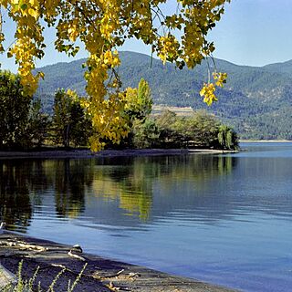 Wapato Point