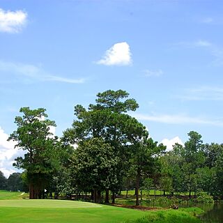 The Villas of Hickory Hill