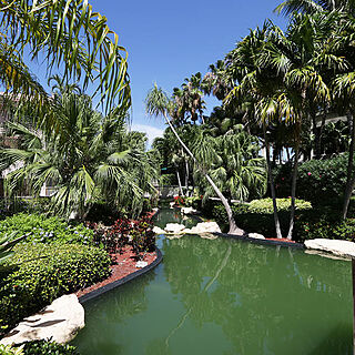 Club Regency at Marco Island — Grounds