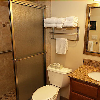 Club Regency at Marco Island — Sample Bathroom