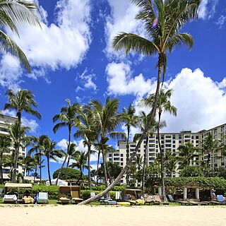 Marriott's Ko Olina Beach Club — Resort Grounds Beach View with Shaded Loungers and Cabanas