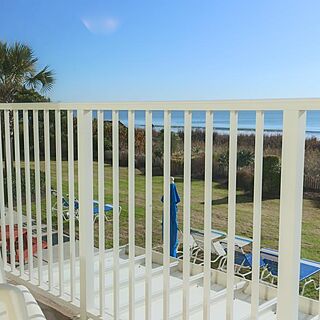 Jade Tree Cove