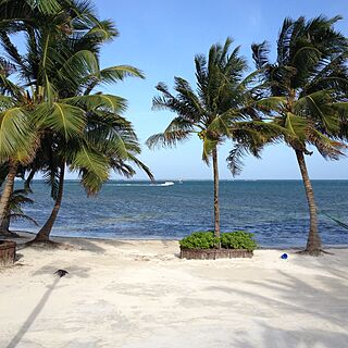 Captain Morgan's Vacation Beach Club — Beach with View of Reef