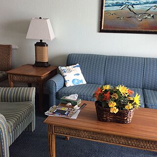 Sands Beach Club — Sample unit sleeper sofa