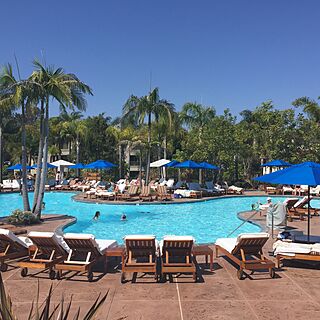 Four Seasons Residence Club Aviara — Pool Area With Loungers and Umbrellas