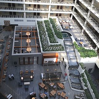 The District by Hilton Club — Lobby from elevator