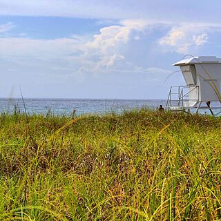 Berkshire Beach Club — Beach
