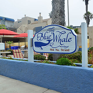 Blue Whale — Exterior