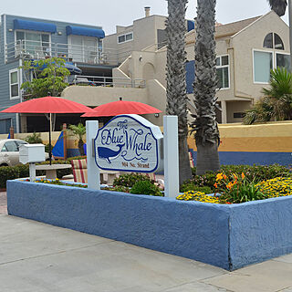 Blue Whale — Exterior