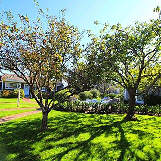 Brant Point Courtyard — Grounds