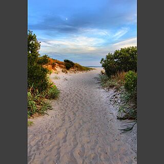 Brigantine Beach Club — Beach Path