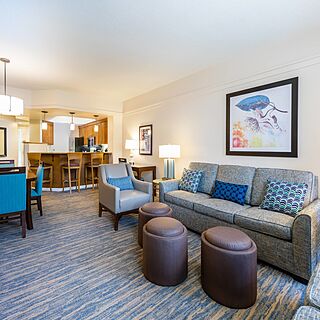 Marriott's Cypress Harbour Villas &mdash; Sample Living Area