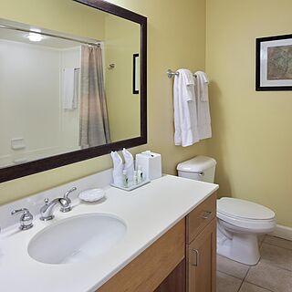 Holiday Inn Club Vacations at Lake Geneva Resort — Bathroom