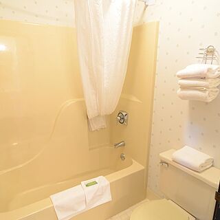 Polynesian Water Park Resort — Bathroom