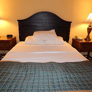 Coconut Malorie Resort — Sample unit
