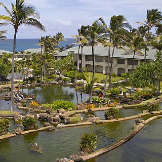 The Point at Poipu — Grounds