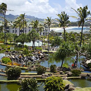 The Point at Poipu — Grounds