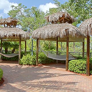 Hyatt Vacation Club At Coconut Cove &mdash; Hammocks