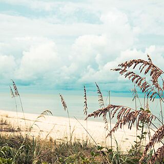 Hyatt Vacation Club At Coconut Cove — Resort Beach