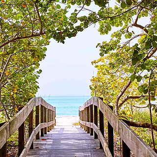 Hyatt Vacation Club At Coconut Cove &mdash; Walkway to Beach