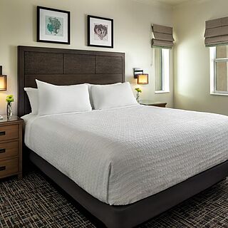 Hyatt Vacation Club At Coconut Cove — Sample Villa Bedroom