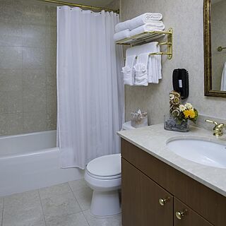 The Manhattan Club — Sample Bathroom