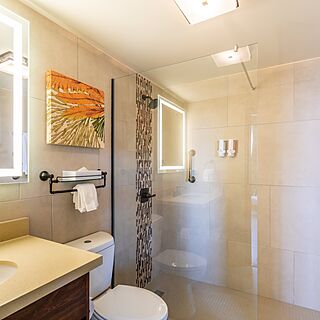 Eagle Aruba Resort &mdash; Bathroom