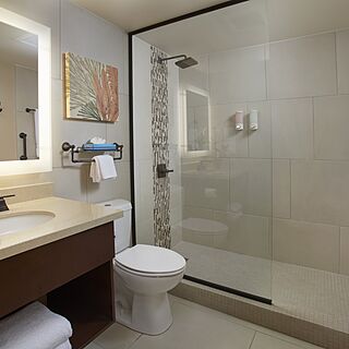 Eagle Aruba Resort — Bathroom