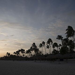 Divi Dutch Village Beach Resort — Beach