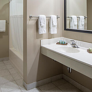 The Suites at Hershey — Sample Bathroom