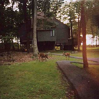 Eagle Village