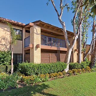 Club Wyndham Dolphin's Cove &mdash; Exterior
