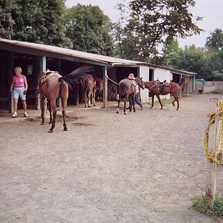 Eagle Village — Fernwood Horseback Riding