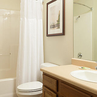 The Falls Village Resort &mdash; Sample unit bathroom