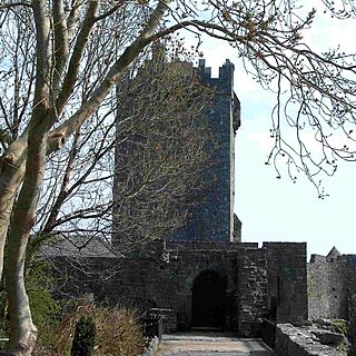 Connemara Country Cottages — Aughnanure Castle