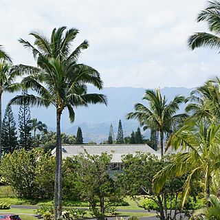 The Cliffs at Princeville — Exterior