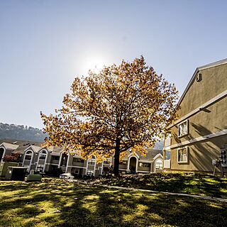 Pointe Royale Village & Country Club — Exterior