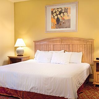 Wyndham Mountain Vista — Bedroom