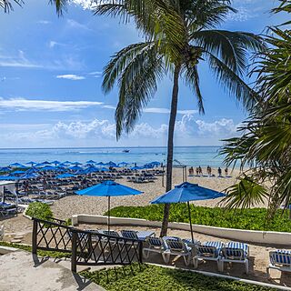 The Reef Playacar Resort & Spa — Beach