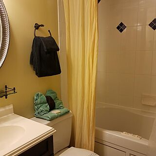 Georgian Inn Beach Club — Bathroom