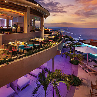 The Westin Los Cabos Resort Villas - Baja Point — Restaurant