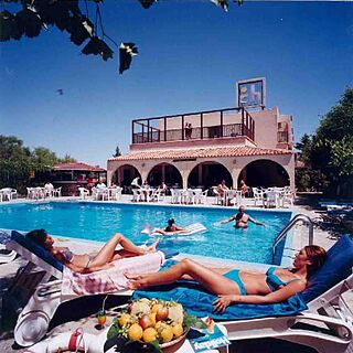 Chrysland Gardens Club